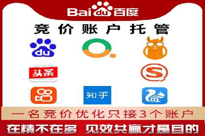 百度竞价包年实战：某行业巨头的成功秘诀